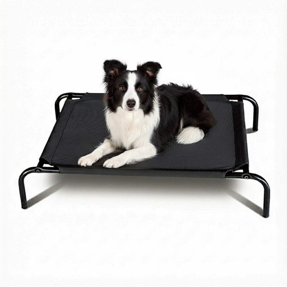 Elevated Mesh Dog Bed - Animal Accessories - Austral Ag