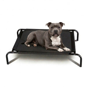 13881 - Animal Accessories - Elevated Mesh Dog Bed - Medium - Austral Ag