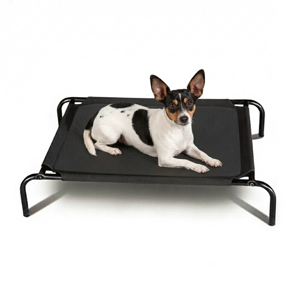 13880 - Animal Accessories - Elevated Mesh Dog Bed - Small - Austral Ag