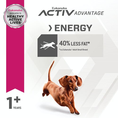 Eukanuba Fit Body Small Breed Feed Royal Canin Australia Pty Ltd