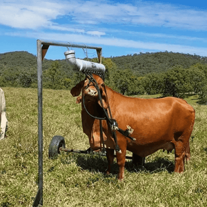 11781 - Animal Health - Fly Gone Full Cover Livestock Back Rubber - Austral Ag