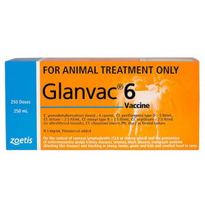 10060 - Animal Health - Glanvac 6 Bottle - 100ml - Austral Ag