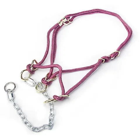 Hackamore Halter Cow