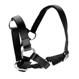 14902 - Animal Accessories - Halter for Alpacas - Black - Austral Ag