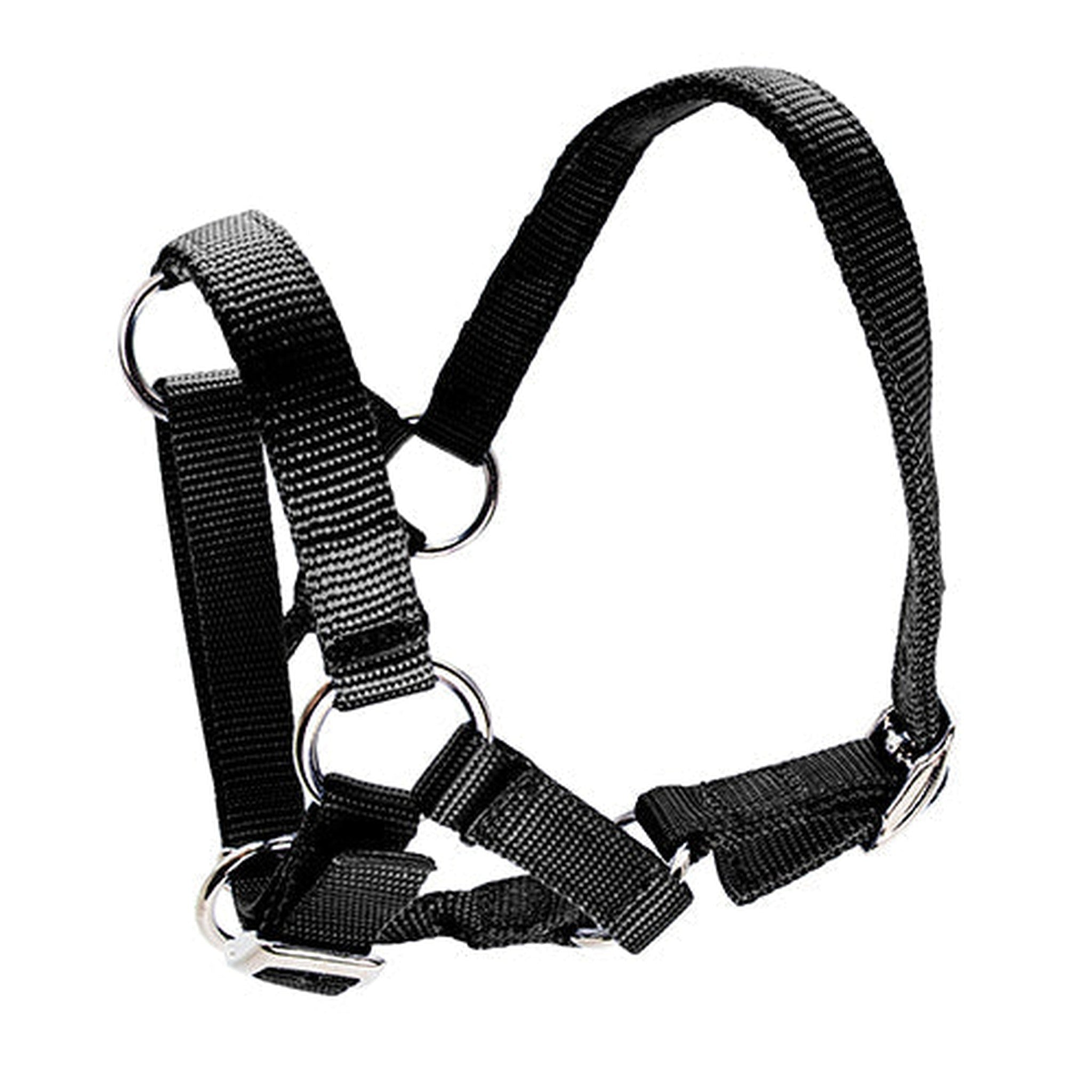 14902 - Animal Accessories - Halter for Alpacas - Black - Austral Ag