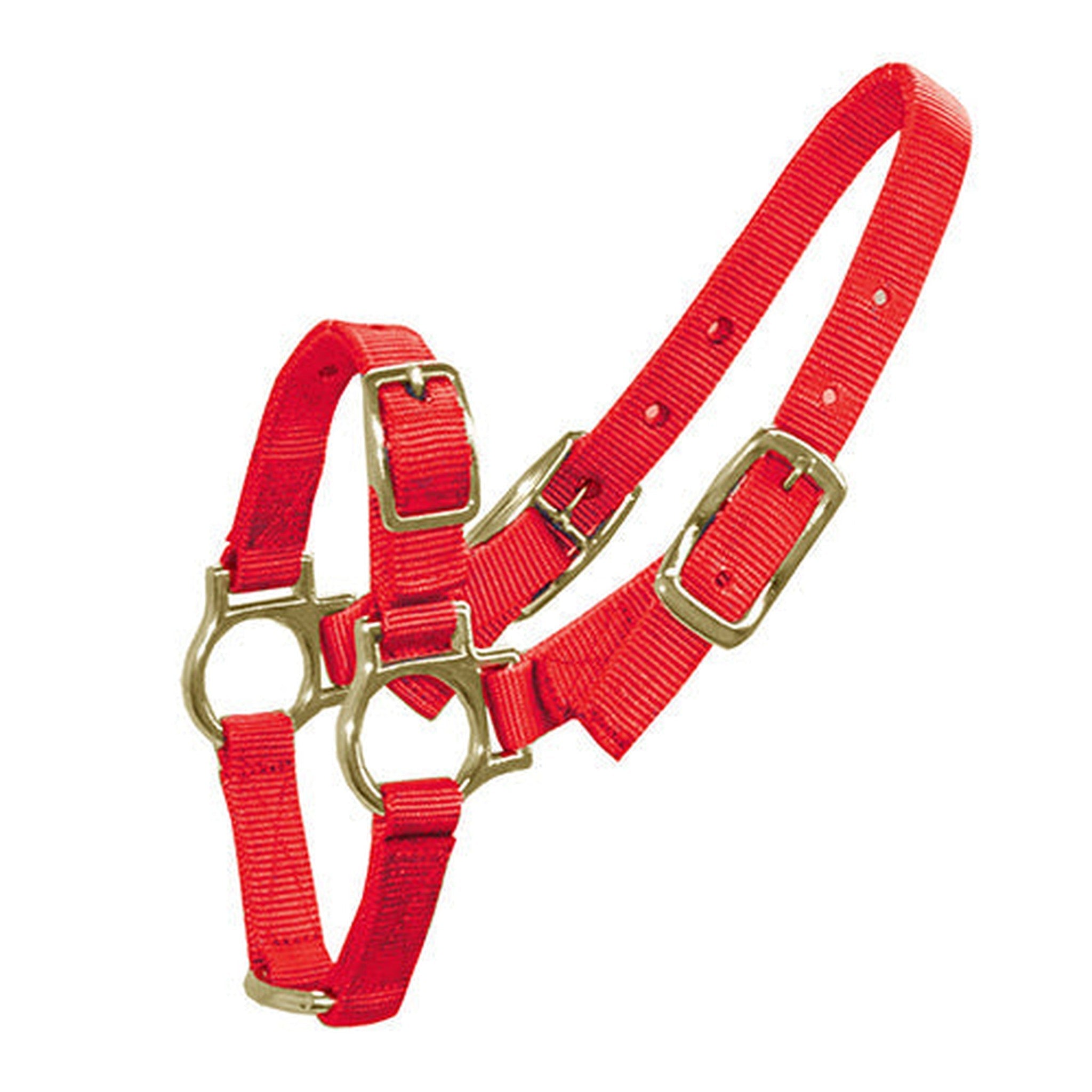 14900 - Animal Accessories - Halter for Sheep & Goats - Red - Austral Ag