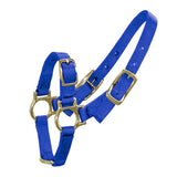 14899 - Animal Accessories - Halter for Sheep & Goats - Blue - Austral Ag