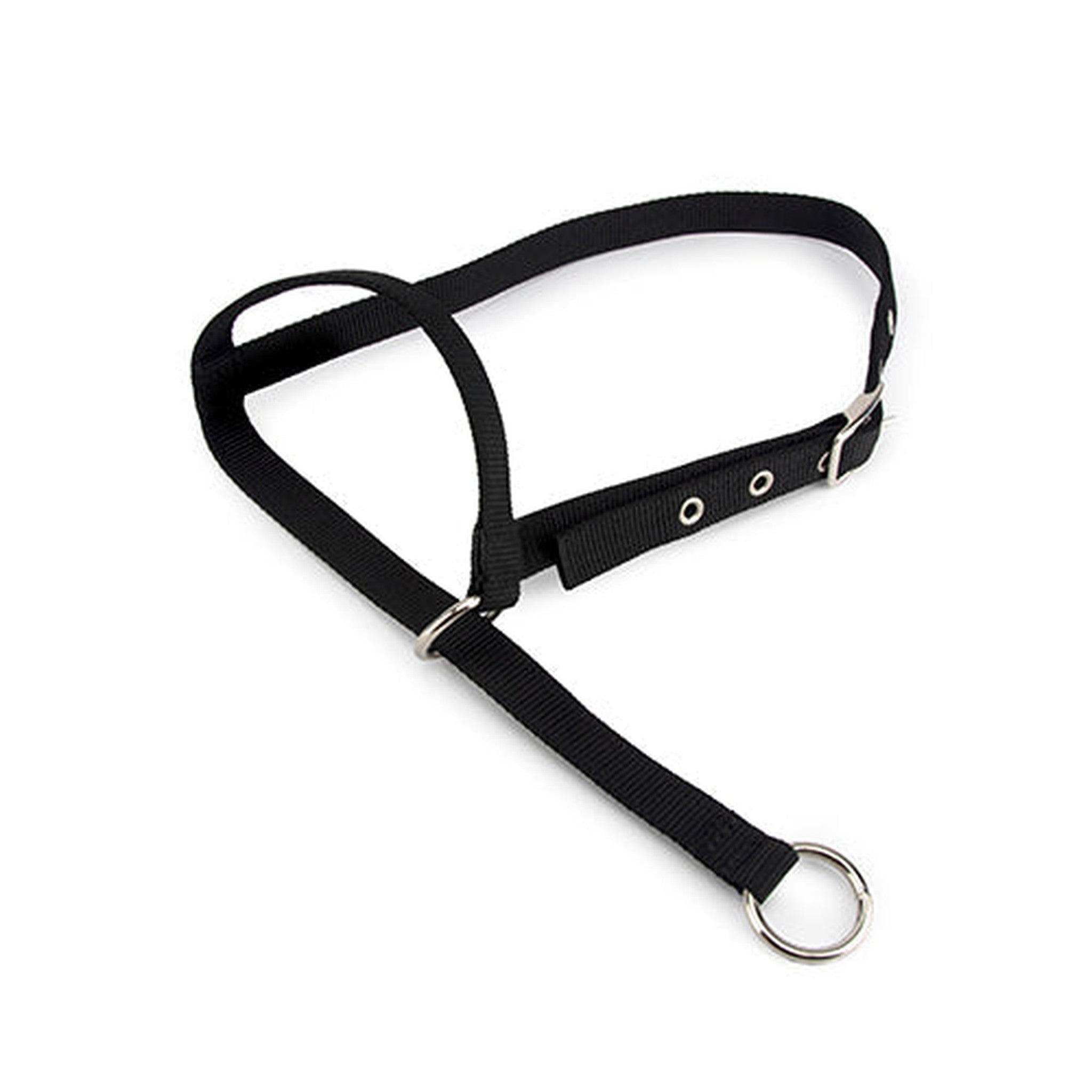 13105 - Animal Accessories - Halter Leading Calf - Black - Austral Ag