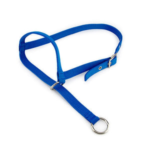 13106 - Animal Accessories - Halter Leading Cow - Blue - Austral Ag
