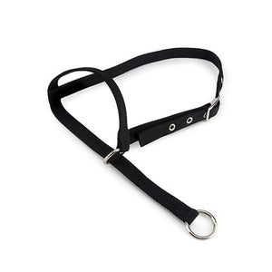13108 - Animal Accessories - Halter Leading Cow - Black - Austral Ag