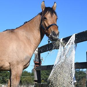 13739 - Animal Accessories - Hay Net Dual Anchor - White - Large - Austral Ag