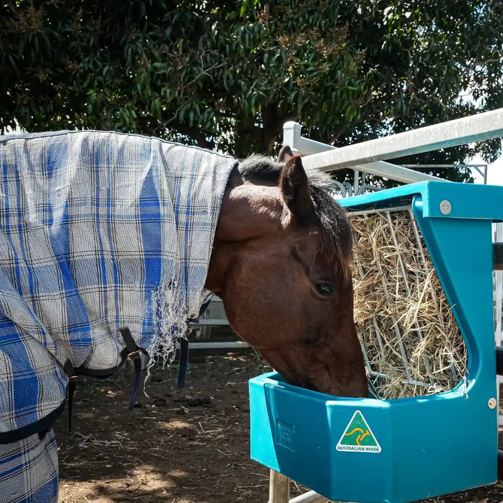 Hay Rack Feeder with Lid - Animal Accessories - Austral Ag