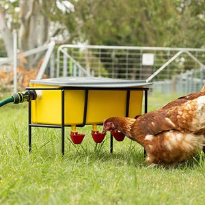 15440 - Animal Accessories - High Pressure Automatic Chook Waterer - Austral Ag