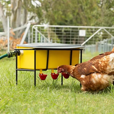 15440 - Animal Accessories - High Pressure Automatic Chook Waterer - Austral Ag