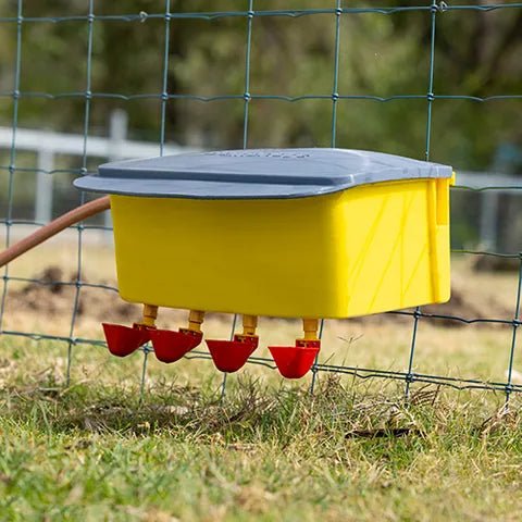 High Pressure Automatic Chook Waterer - Animal Accessories - Austral Ag