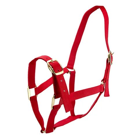 11338 - Animal Accessories - HORSE HALTER FULL - Red - Austral Ag