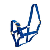 13830 - Animal Accessories - HORSE HALTER FULL - Blue - Austral Ag