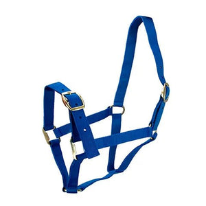 13830 - Animal Accessories - HORSE HALTER FULL - Blue - Austral Ag
