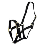 11336 - Animal Accessories - HORSE HALTER FULL - Black - Austral Ag