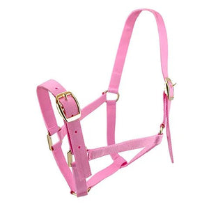 13831 - Animal Accessories - HORSE HALTER FULL - Pink - Austral Ag