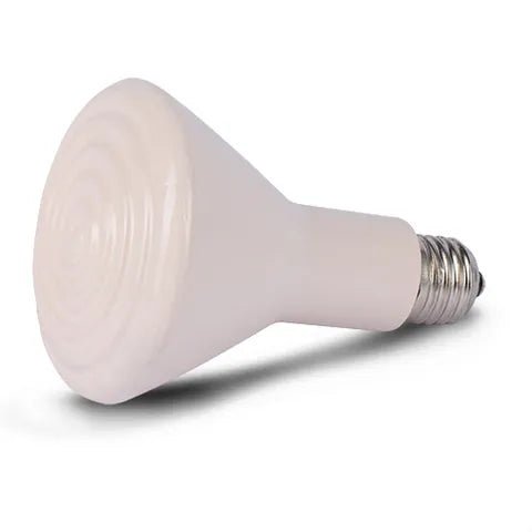 Infrared Ceramic Cone Heat Bulb - Animal Accessories - Austral Ag