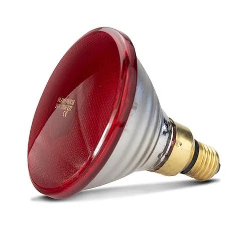 Infrared Heat Lamp Bulb 100W - Animal Accessories - Austral Ag