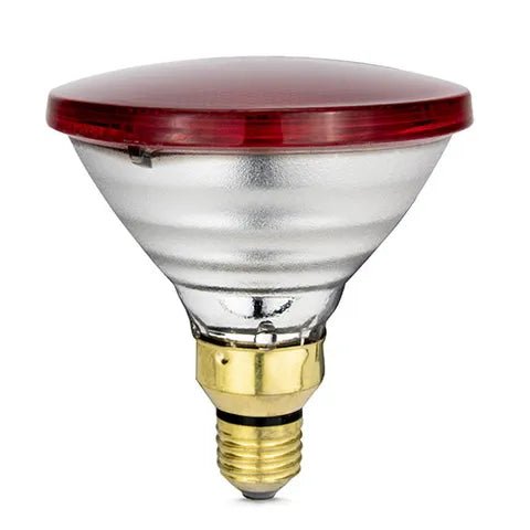 15450 - Animal Accessories - Infrared Heat Lamp Bulb 150W - Red - 150 - Austral Ag