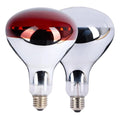Two spot globe heat bulbs on a white background
