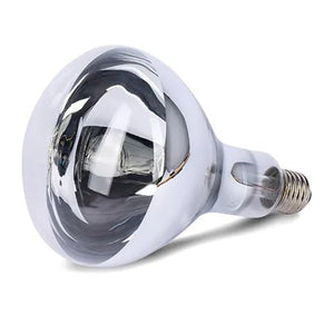 18551 - Animal Accessories - Infrared Spot Lamp Light Bulb - Red - 50W - Austral Ag