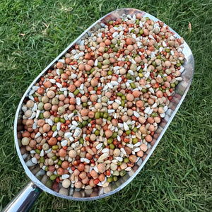 15966 - Feed - Jenco Breeder Pigeon Mix 20kg - Austral Ag