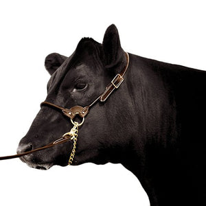 13067 - Animal Accessories - Leather Show Halter with Lead - Brown - Small - Austral Ag