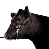13071 - Animal Accessories - Leather Show Halter with Lead - Black - Small - Austral Ag