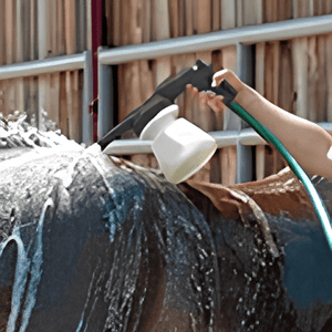 13217 - Animal Accessories - Livestock Shampoo Foamer - Austral Ag