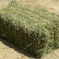 Lucerne - Prime, Small Square Bale Feed SM & KM Steinhardt Default Title