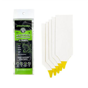 13337 - Hardware - Mini Insect Indoor Pot Traps (5 Pack) - Austral Ag