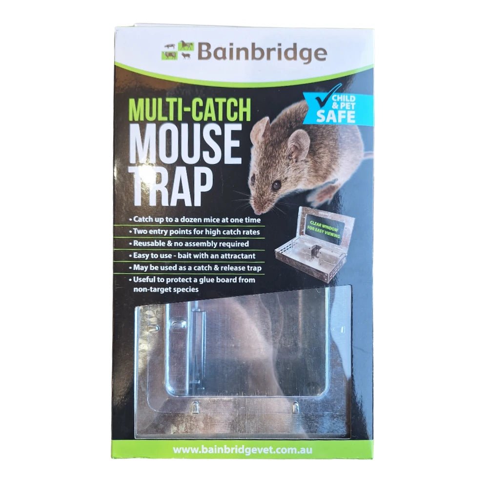 Multi - Catch Mouse Trap - Hardware - Austral Ag
