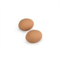 14661 - Animal Accessories - Nesting Eggs - Ceramic (2 Pack) - Austral Ag
