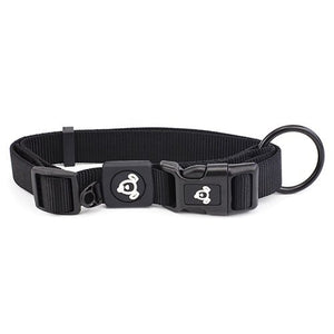 Nylon Dog Collar Premium - Animal Accessories - Austral Ag