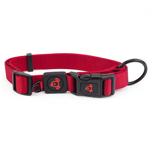 Nylon Dog Collar Premium - Animal Accessories - Austral Ag