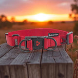 13985 - Animal Accessories - Nylon Double Ring Dog Collar Premium - Red - Medium - Austral Ag