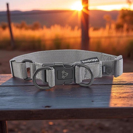 13990 - Animal Accessories - Nylon Double Ring Dog Collar Premium - Grey - Medium - Austral Ag