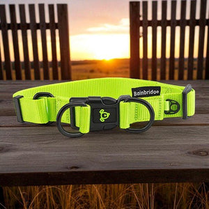 13994 - Animal Accessories - Nylon Double Ring Dog Collar Premium - Green - Large - Austral Ag