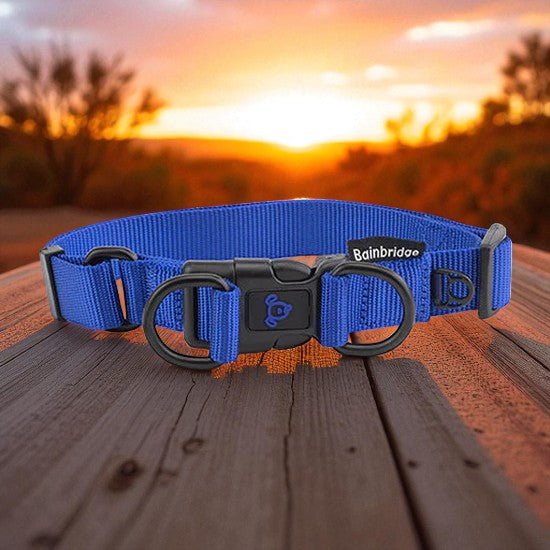 13995 - Animal Accessories - Nylon Double Ring Dog Collar Premium - Blue - Large - Austral Ag