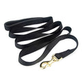 13117 - Animal Accessories - Nylon Lead Black - Austral Ag
