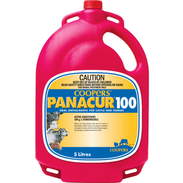10006 - Animal Health - Panacur 100 for Cattle & Horses 5L - Austral Ag