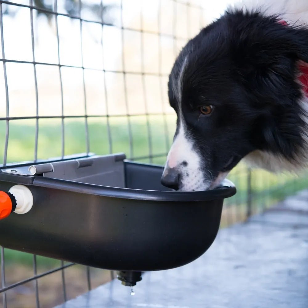 18306 - Animal Accessories - Plastic Water Bowl - Austral Ag