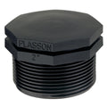 10635 - Fittings - Plug Threaded PP - 1" - Austral Ag
