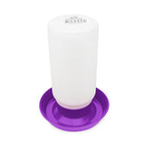 14439 - Animal Accessories - Poultry Drinker Straight - Purple - 1L - Austral Ag