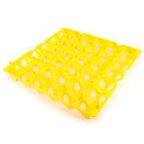 14590 - Animal Accessories - Poultry Egg Tray Plastic - 30 Egg - Austral Ag