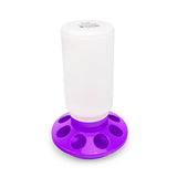14542 - Animal Accessories - Poultry Feeder Straight - Purple - 1kg - Austral Ag